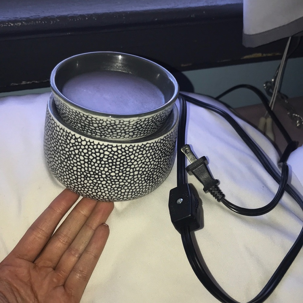 Scensty & Scent Cube Bundle